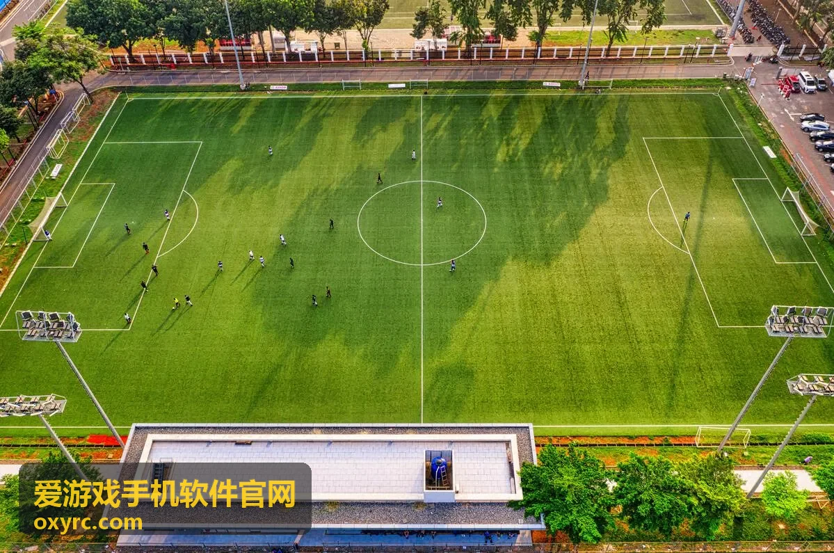 爱游戏手机软件官网-健康打卡软件封面