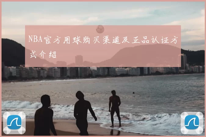 NBA官方用球购买渠道及正品认证方式介绍