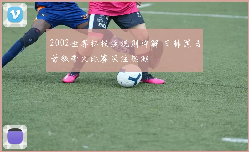 2002世界杯投注规则详解 日韩黑马晋级带火比赛买注热潮