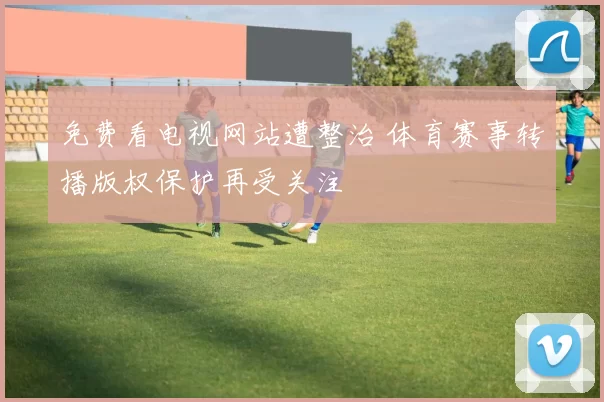 免费看电视网站遭整治 体育赛事转播版权保护再受关注