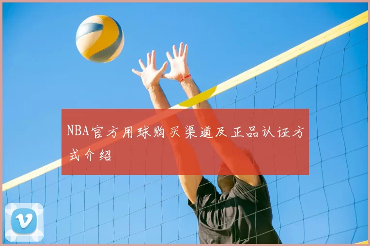 NBA官方用球购买渠道及正品认证方式介绍