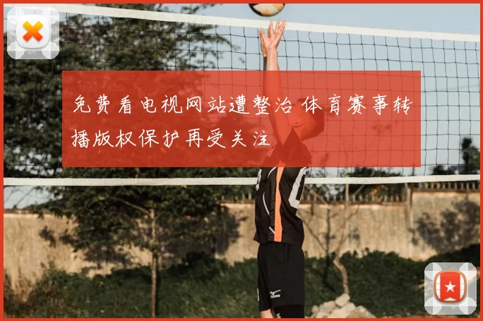 免费看电视网站遭整治 体育赛事转播版权保护再受关注