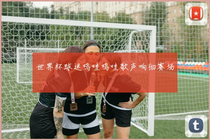 世界杯球迷呜哇呜哇歌声响彻赛场