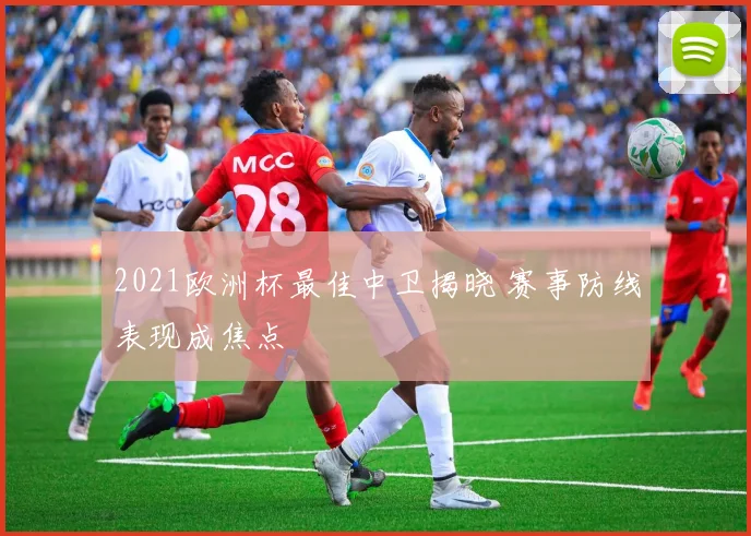 2021欧洲杯最佳中卫揭晓 赛事防线表现成焦点