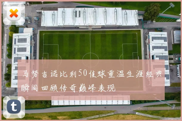 马努吉诺比利50佳球重温生涯经典瞬间回顾传奇巅峰表现
